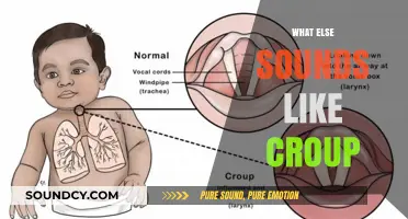 Croup-Like Symptoms: Identifying Similar Respiratory Conditions in Children