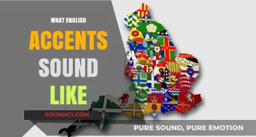 Exploring the Unique Sounds of English Accents Around the World