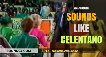 What English Sounds Like to Celentano: A Hilarious Linguistic Journey