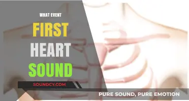Understanding the First Heart Sound: Causes and Clinical Significance
