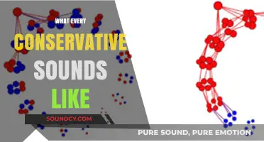 The Conservative Echo Chamber: Familiar Phrases and Persistent Talking Points