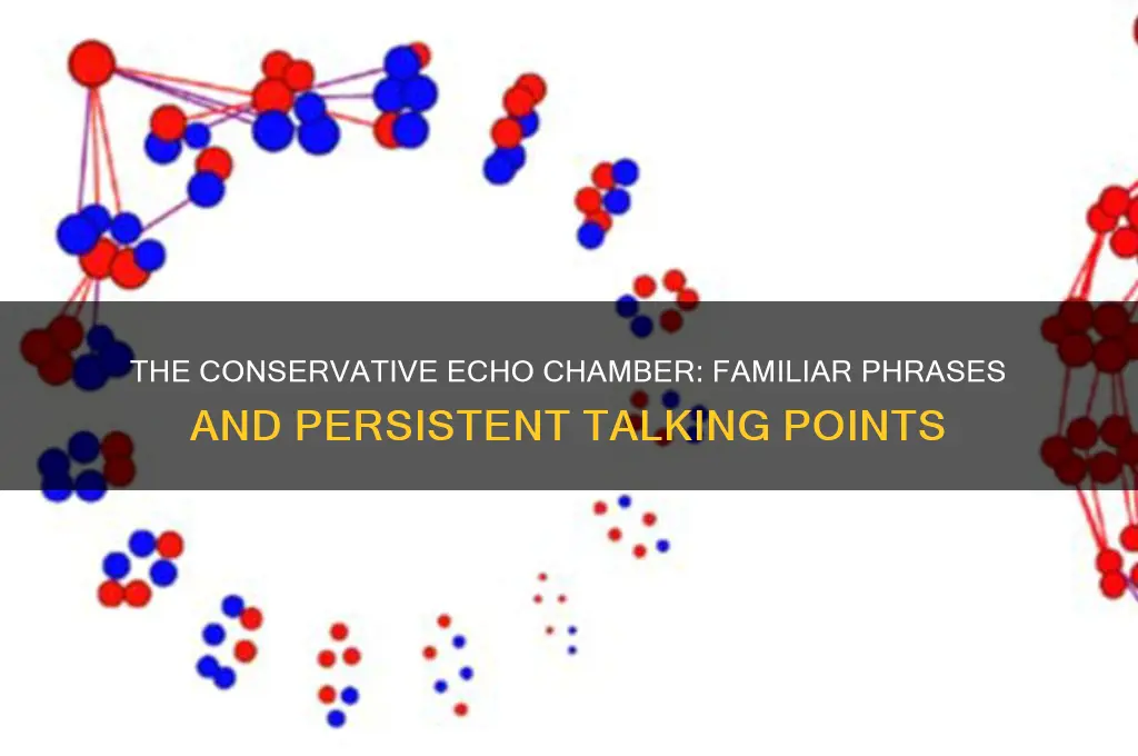what every conservative sounds like
