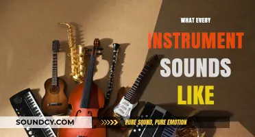 Exploring the Unique Sonic Signatures of Every Musical Instrument