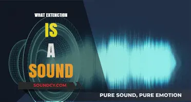 Understanding Sound File Formats: What Extension Does Your Audio Use?