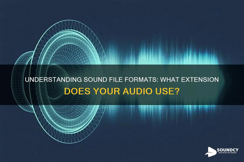 what extenction is a sound