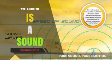 Unraveling the Mystery: What Does Sound Extinction Truly Mean?