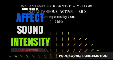 Exploring Key Factors Influencing Sound Intensity Levels and Perception