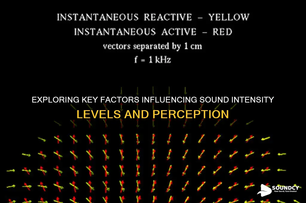 what factors affect sound intensity