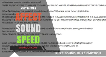 Exploring Key Factors That Influence the Speed of Sound