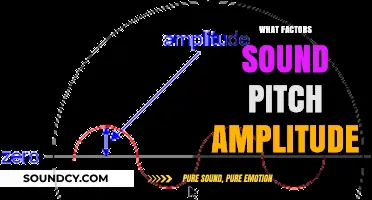 Understanding Sound: Pitch, Amplitude, and Key Influencing Factors