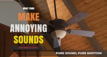 Why Do Fans Make Annoying Sounds? Causes and Quick Fixes