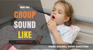Understanding Croup: Identifying the Distinctive Barking Cough Sound