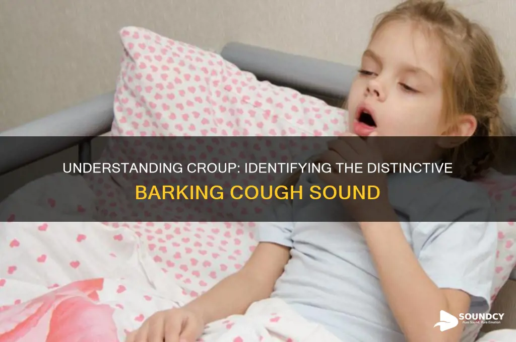 what fies croup sound like