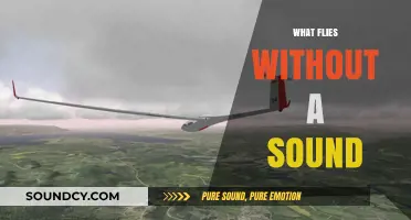 Silent Wings: Exploring Nature's Noiseless Flyers and Their Secrets
