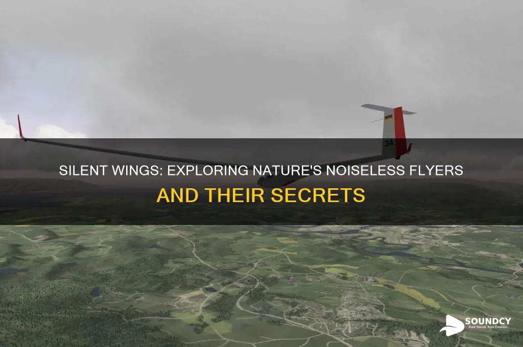 what flies without a sound