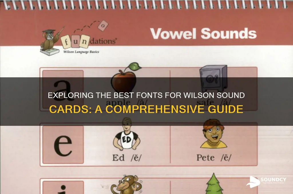 what font wilson sound cards