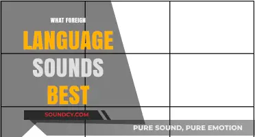 Exploring the World's Most Beautiful Foreign Language Sounds: A Linguistic Journey