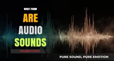 Understanding Audio: Exploring the Form and Structure of Sound Waves