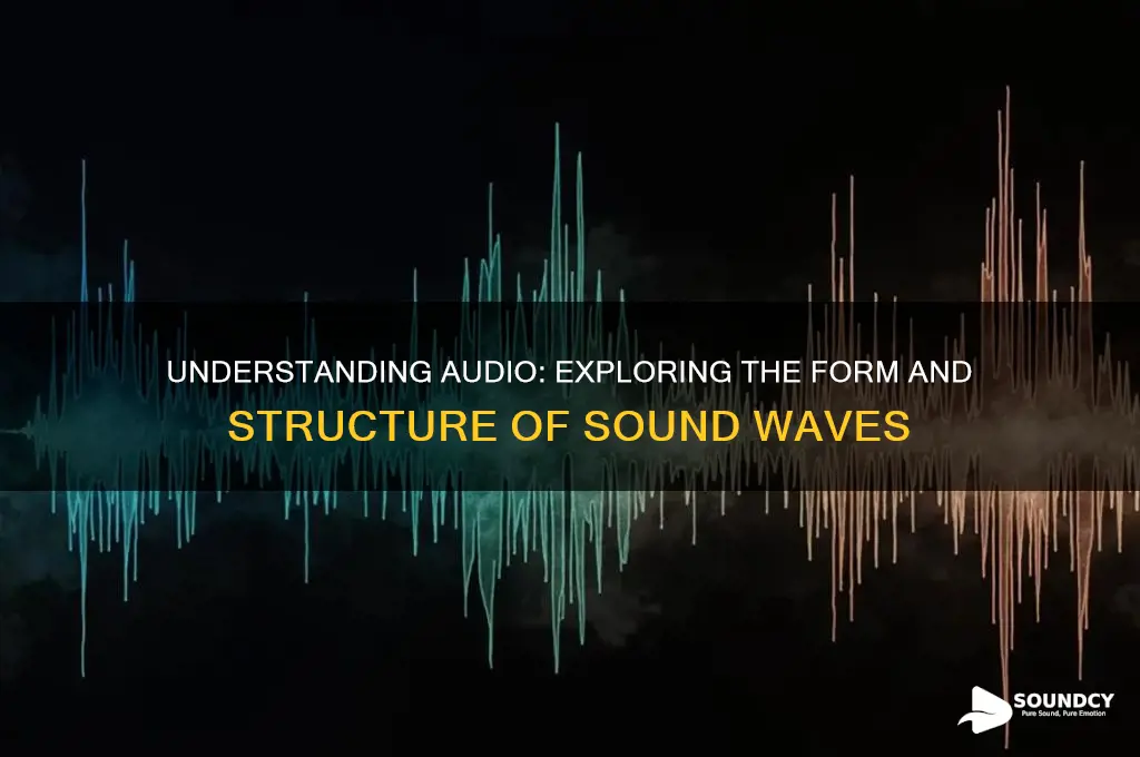 what form are audio sounds