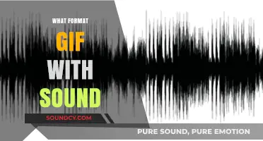 GIFs with Sound: Exploring Formats for Audio-Enhanced Animations