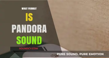 Exploring Pandora's Audio Quality: Understanding Its Sound Format and Features