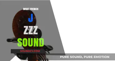 Mastering the French 'J' Sound: Unlocking the Zzz Mystery
