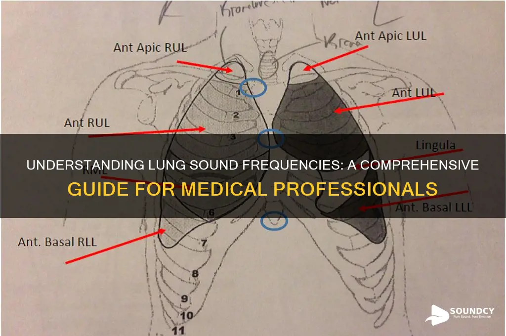 what freq are lung sounds