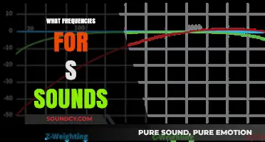 Unveiling the Frequency Range for the 'S' Sound in Speech and Audio