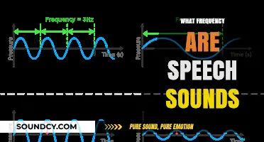 Understanding Speech Sounds: Exploring the Frequency Range of Human Voice