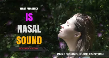 Understanding Nasal Sound Frequencies: A Comprehensive Guide to Speech Acoustics