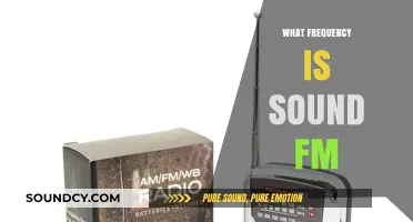 Understanding FM Sound Frequency: What Range Does FM Radio Use?