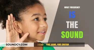 Understanding Sound Frequencies: What Range Defines Human Hearing?