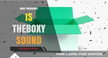 Understanding the Frequency Range of the Boxy Sound in Audio Production
