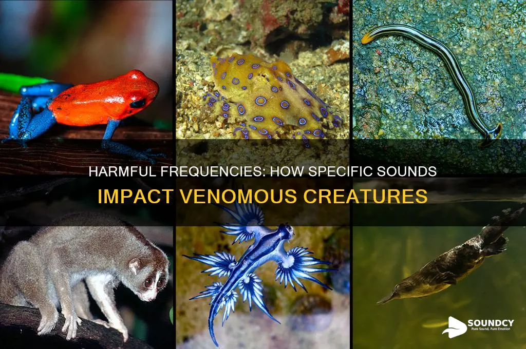 what frequency sounds hurt venom