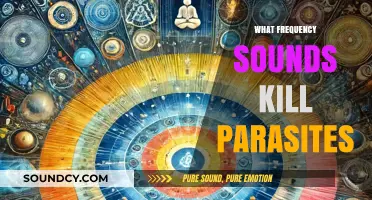 Can Specific Sound Frequencies Effectively Eliminate Parasites? Exploring the Science