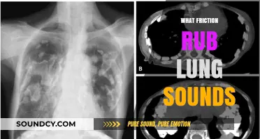 Understanding Friction Rub Lung Sounds: Causes, Symptoms, and Diagnosis Explained