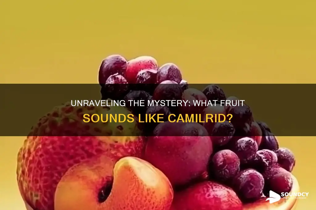what fruit sounds like camilrid