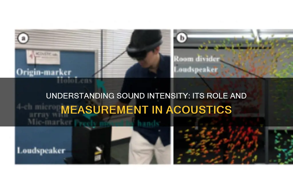 what function is sound intensity