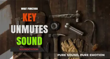 Unmute Your Sound: Discover the Function Key to Restore Audio