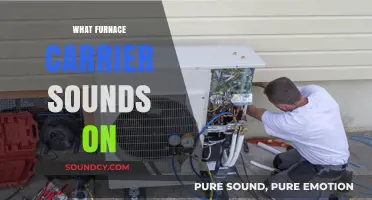 Understanding Common Furnace Carrier Sounds: Causes and Solutions