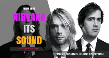 Unraveling Nirvana's Iconic Grunge Sound: Influences, Gear, and Innovation
