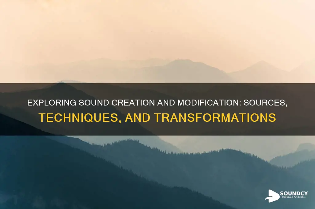 what generats and motifies sound
