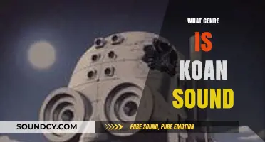 Exploring the Genre-Bending World of Koan Sound: A Musical Journey