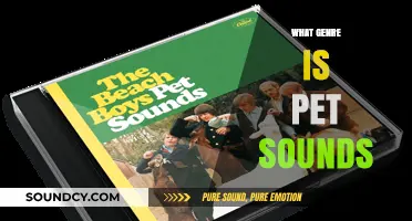 Pet Sounds Genre Explored: Unraveling the Beach Boys' Masterpiece