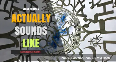Unveiling the Unique Rhythms and Tones of Spoken German Language