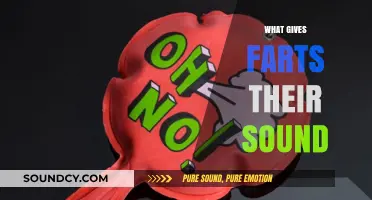 Unraveling the Science Behind Why Farts Make Noisy Sounds