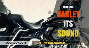 Unmistakable Roar: The Science Behind Harley-Davidson's Iconic Engine Sound