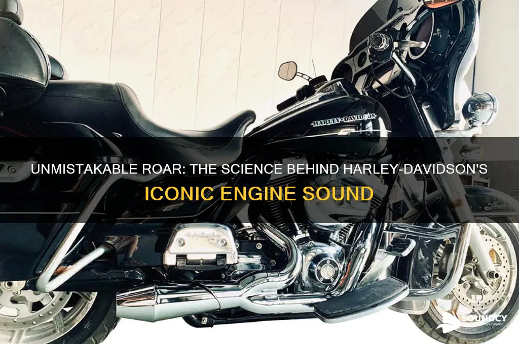what gives harley its sound