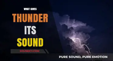 Unraveling the Science Behind Thunder's Roaring Acoustic Phenomenon