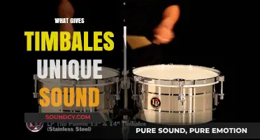 Unveiling the Distinctive Timbales Sound: Rhythm, Technique, and Tradition Explored